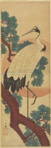 （松の枝の鶴）
