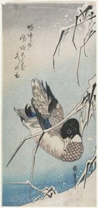 （アヒルと雪に覆われた葦）、1830年代初頭