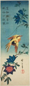 （模写？）ナナカマドウとクレマチス 作： Utagawa Hiroshige