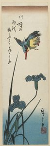 （アイリスとカワセミ）、1843-1847