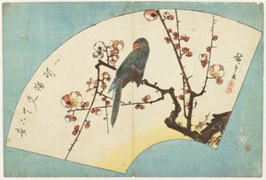 （開花梅のオウム）、19世紀半ば
