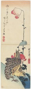 （ウズラとポピー）、1830-1858
