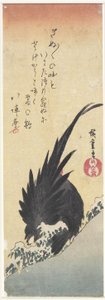 （オンドリ）、19世紀初頭