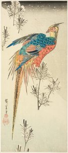 小さな松の苗木に囲まれた急な雪の丘の中腹にとまる金のキジ 作： Utagawa Hiroshige