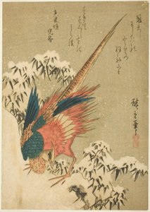 険しい丘の中腹にある雪に覆われた竹林に囲まれたキジ 作： Utagawa Hiroshige