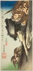 子ライオンを調教するライオン 作： Utagawa Hiroshige