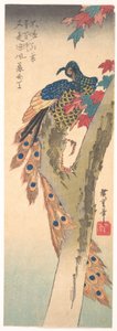 作： 歌川広重