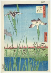 BM.Cat.440ホリキンのアイリス、第56回シリーズ「江戸の百景」（「明照江戸百景」）、居酒屋。 1857年（色木版画）