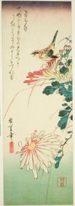 鳥と菊 作： Utagawa Hiroshige
