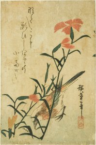鳥と野生のカーネーション 作： Utagawa Hiroshige
