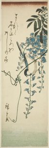 鳥と藤 作： Utagawa Hiroshige