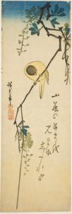 絹のような藤の鳥 作： Utagawa Hiroshige