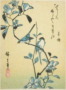 ツバキの枝の鳥 作： Utagawa Hiroshige