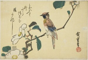 ツバキの枝にコウライウグイス 作： Utagawa Hiroshige