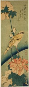 ハイビスカスのコウライウグイス 作： Utagawa Hiroshige