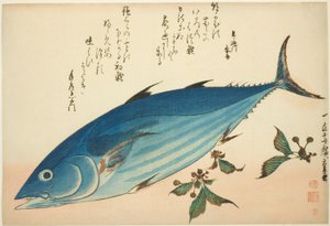 無題の魚のシリーズからのカツオとユキノシタ 作： Utagawa Hiroshige