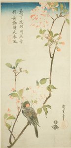 アロニアの枝のウソ 作： Utagawa Hiroshige
