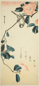 ツバキの枝にウソ 作： Utagawa Hiroshige