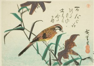 ホオジロとユリ 作： Utagawa Hiroshige