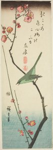 梅の枝にウグイス 作： Utagawa Hiroshige
