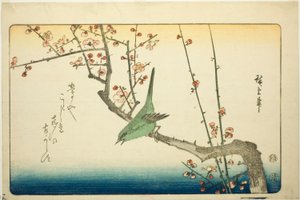 梅の枝にウグイス 作： Utagawa Hiroshige