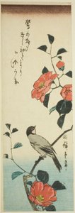 椿の花とウソ 作： Utagawa Hiroshige