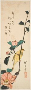 カナリアとツバキ 作： Utagawa Hiroshige