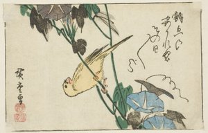 カナリアと朝顔 作： Utagawa Hiroshige