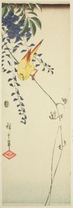 カナリアと藤 作： Utagawa Hiroshige