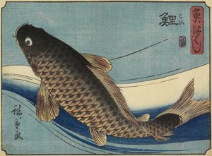 コイ、1830-1844