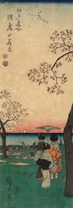Kirschblüten am Goten-yama 作： 歌川広重
