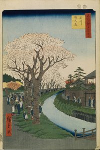 多摩川のほとりの桜名所江戸百景1856-1858 作： Utagawa Hiroshige