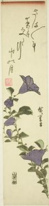 中国の鐘の花 作： Utagawa Hiroshige