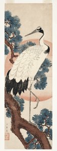 日の出松の木の鶴、1850-55（木版）