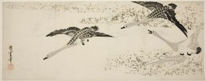 下降するガチョウ 作： Utagawa Hiroshige