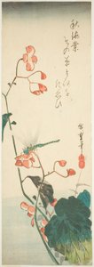 トンボとベゴニア 作： Utagawa Hiroshige