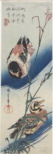 アヒルと葦、1834〜1839年