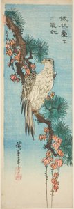 ツタに覆われた松の枝の鷹 作： Utagawa Hiroshige