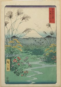 1858年4月、カイ県O_tsukiのフィールド