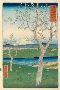 越谷、武者、富士、シリーズ&39;36富士山。富士」（「富士茶流六景」）、（カラー木版）