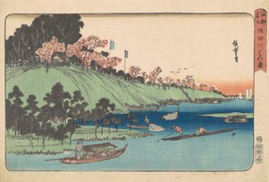 隅田川沿いの満開【隅田川花ざかり】