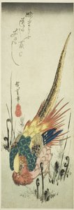 金雉とワラビ 作： Utagawa Hiroshige
