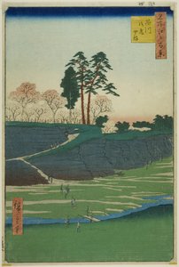 名所江戸百景』より「品川御殿山」v 作： Utagawa Hiroshige