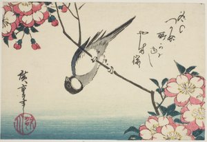 桜の枝にシジュウカラ 作： Utagawa Hiroshige