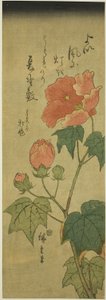 ハイビスカス 作： Utagawa Hiroshige