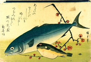 広重 魚の群れ フグ ブリ