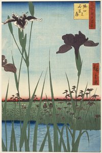 
Horikiri Iris Garden (Horikiri no hanashōbu), from the series One Hundred Famous Views of Edo (Meisho Edo hyakkei) 作： Utagawa Hiroshige