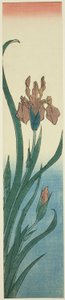 虹彩 作： Utagawa Hiroshige
