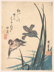  作： 歌川広重