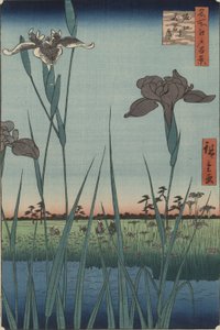 名所江戸百景 堀切菖蒲 作： Utagawa Hiroshige